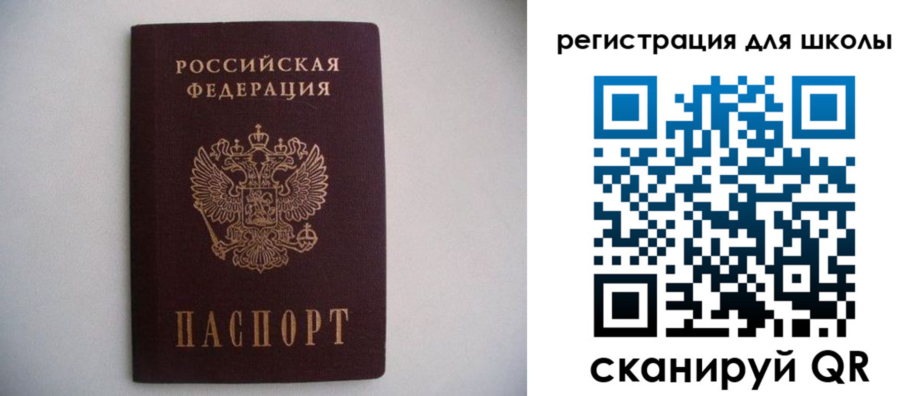 прописка поиск в Мончегорске
